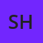 Shenandoah Hornets