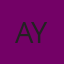 AM YOUNG