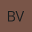 Bachman Auto Glass of Virginia logo