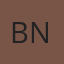 Bruce Bennett Nissan logo