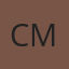 Custom Auto Glass Of Mexico logo