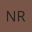 Napoleon Auto Repair logo