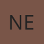 National Glass Experts logo