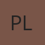 Paint Lizard logo