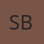 Stepney Bro's Auto Body logo