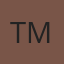 Tint Masters logo