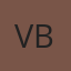 Village Auto Body logo