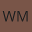 Windshields Mobile logo