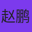 赵鹏飞