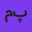 مرتضی پاشایی