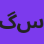 گروه سون