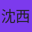 沈西城