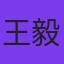 王毅
