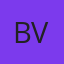Brian Vilche