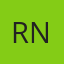 Realty Ninja Logo