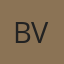 BMV S.r.l. (Bandiziol Macchine Viticole)