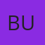Bulbit