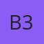 B3