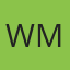 Windshields Mobile logo
