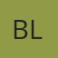 Belle Etoile Labs LLC