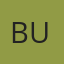 BullGPT