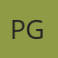 P Video AI Video Generator