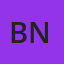 BNESIM logo