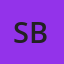 Superhero Buzz logo