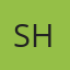 Logo Shopify
