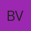 Bachman Auto Glass of Virginia logo