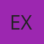 Expertint logo