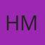 Houston Car Side Mirror logo