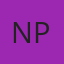 Northern Rides Paint & Collision logo
