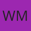 Windshield Medic logo
