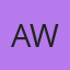 Avi Winner