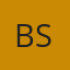 Logo Brooklyn SolarWorks