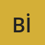 Berna İnan profil fotoğrafı
