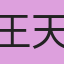 王天宇