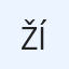 Žížalaa
