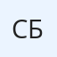 саня бро
