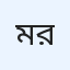 মো: মামুনুর রশীদ