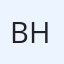 Bedrich Horna
