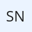 Speed of Sound [Flying Nun]