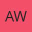 Avi Winner