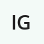 IgorSpyHouse