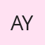 Amir Youssef