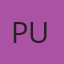 PUK