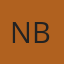 Nafis Bashir