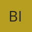 bimatriadi