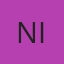 Nizz